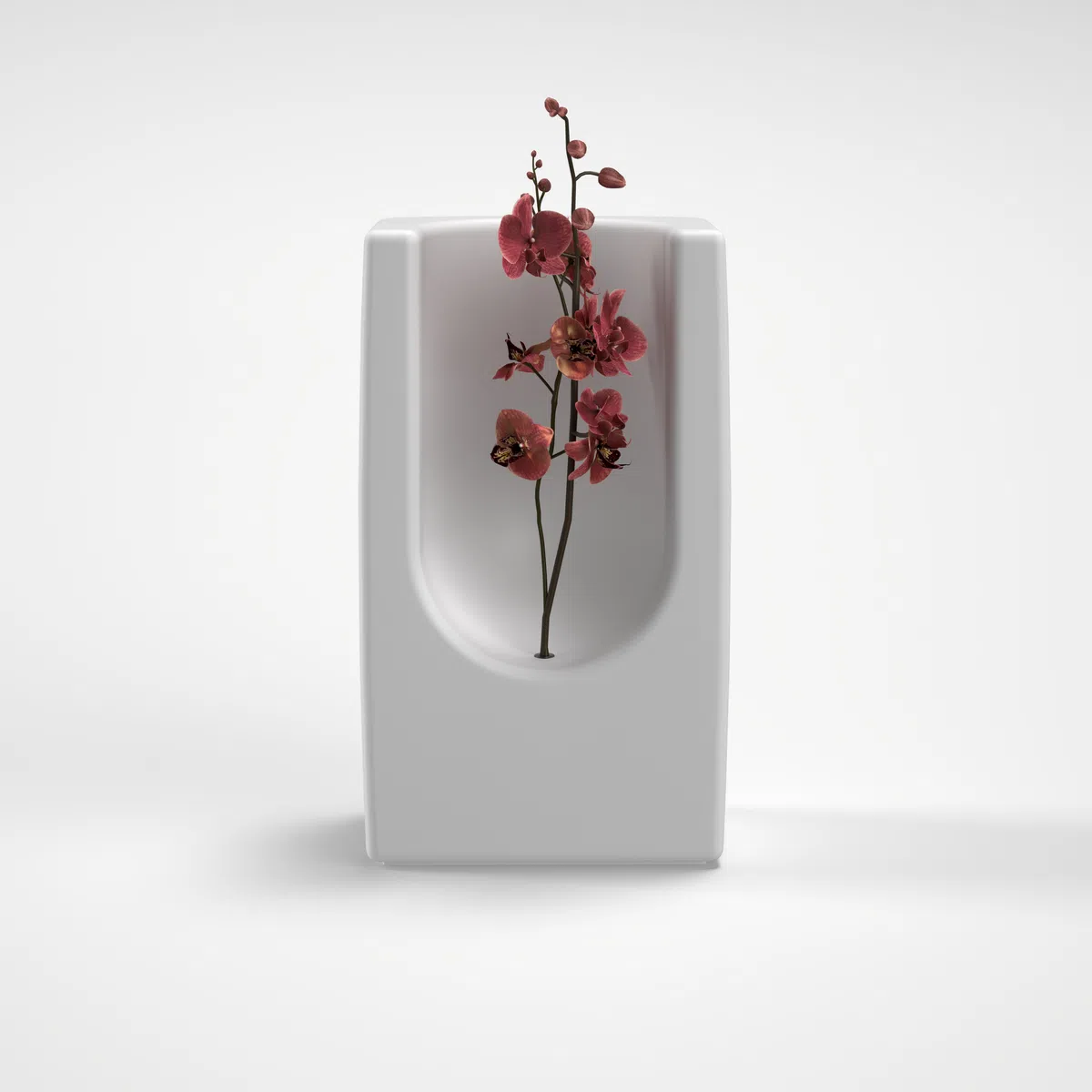 360 graden weergave keramische urn met orchidee